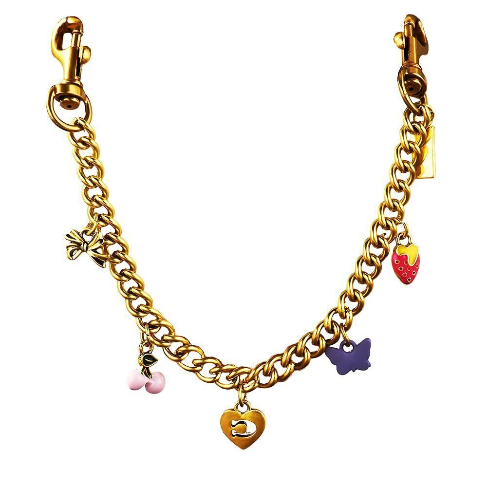 3961 Bag Purse Charms Chain for Handbags Gold Key Chain Accessories